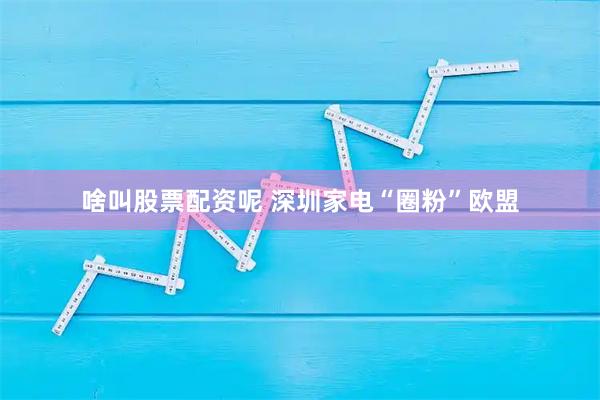 啥叫股票配资呢 深圳家电“圈粉”欧盟