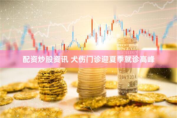 配资炒股资讯 犬伤门诊迎夏季就诊高峰
