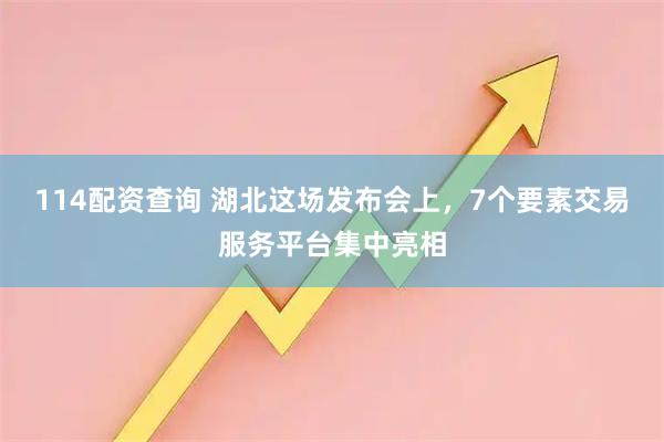 114配资查询 湖北这场发布会上，7个要素交易服务平台集中亮相