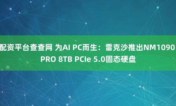 配资平台查查网 为AI PC而生：雷克沙推出NM1090 PRO 8TB PCIe 5.0固态硬盘